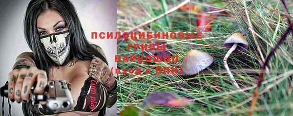прущая мука Алзамай