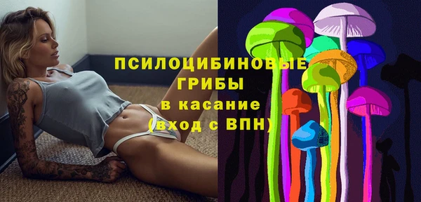 бошки Алексеевка