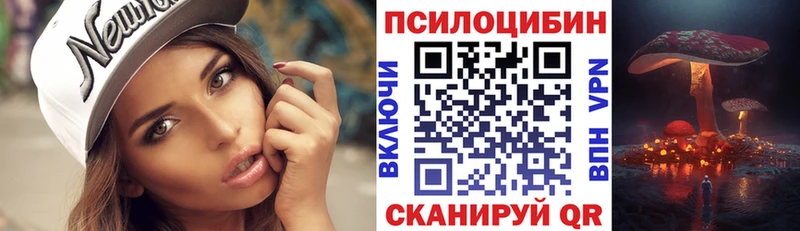 Псилоцибиновые грибы Psilocybine cubensis  blacksprut рабочий сайт  Кувшиново 