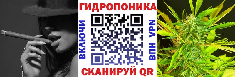 купить наркотик  Кувшиново  ОМГ ОМГ как войти  Бошки марихуана AK-47 